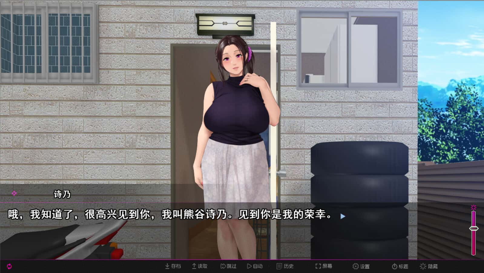 纯情房东撬房客 Afternoon Affairs & Helpless Housewives全息投影